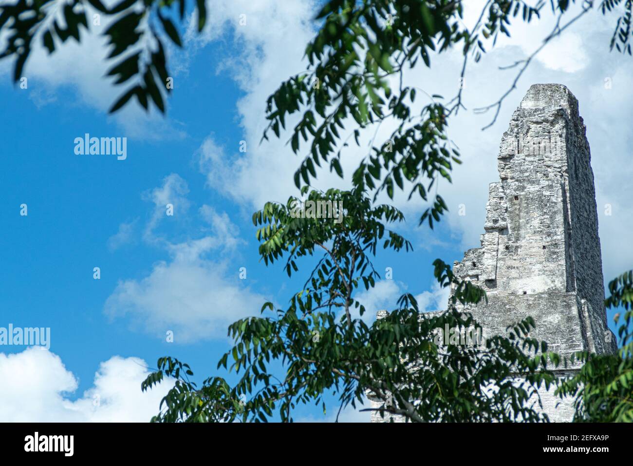 Tempio 1 presso le rovine Maya di Tikal, un sito patrimonio dell'umanità dell'UNESCO a Peten, Guatemala Foto Stock