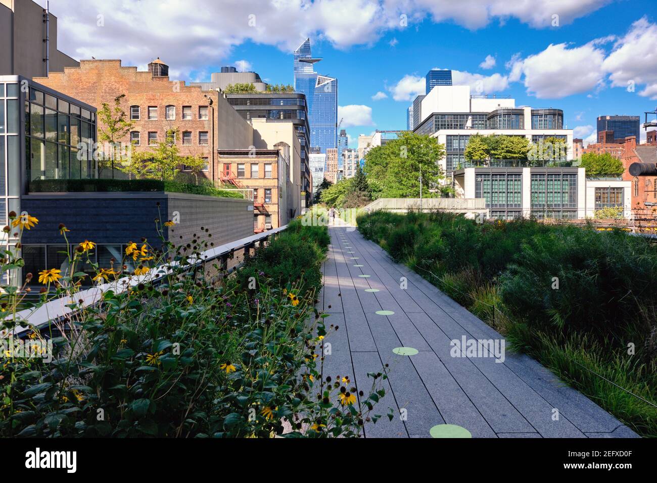 Sezione di High Line Park a 23rd Street, West Side Manhattan, New York City, USA Foto Stock