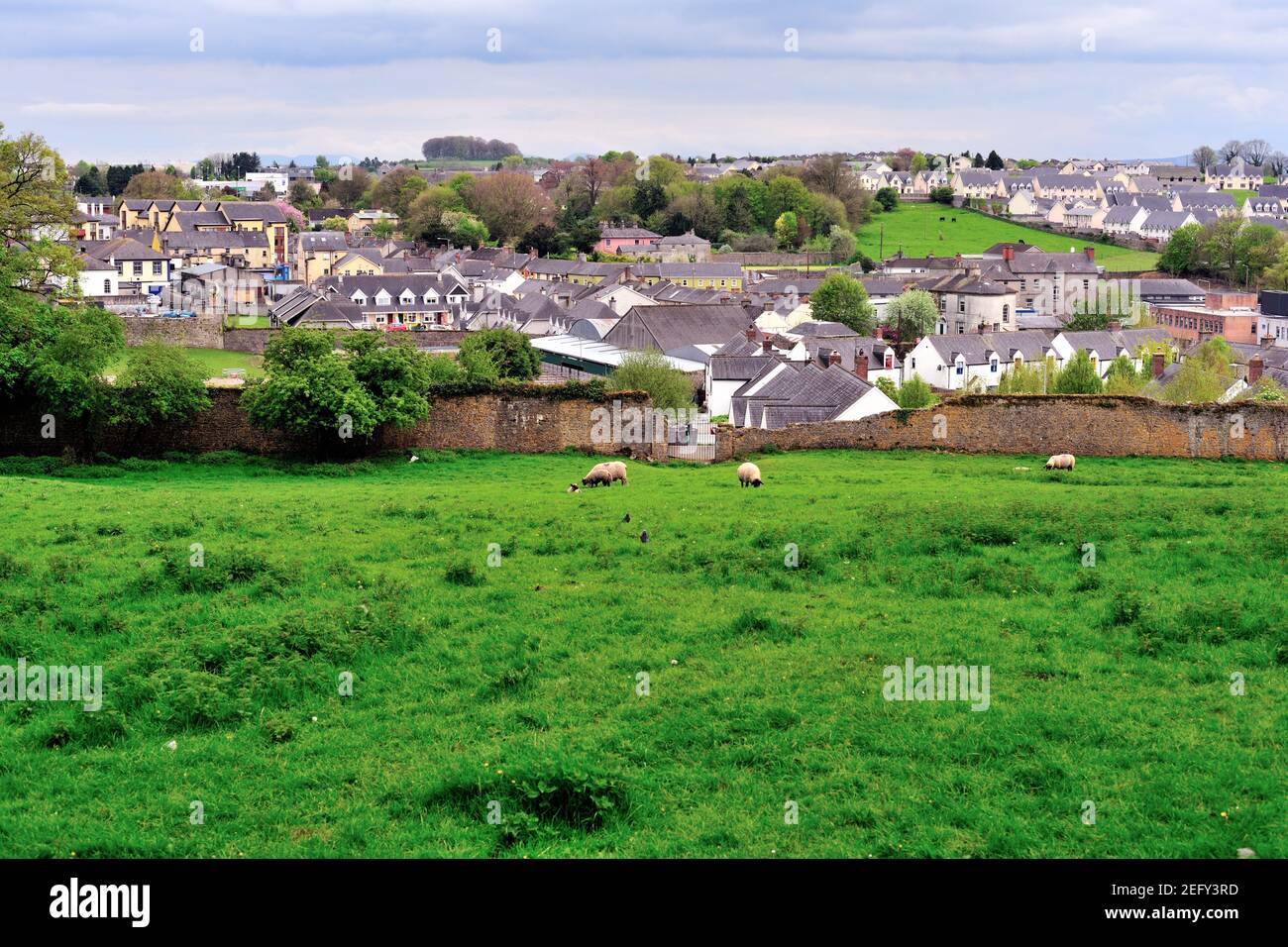 Cashel, County Tipperary, Irlanda. Vista panoramica sulla città di Cashel, nella campagna irlandese. Foto Stock