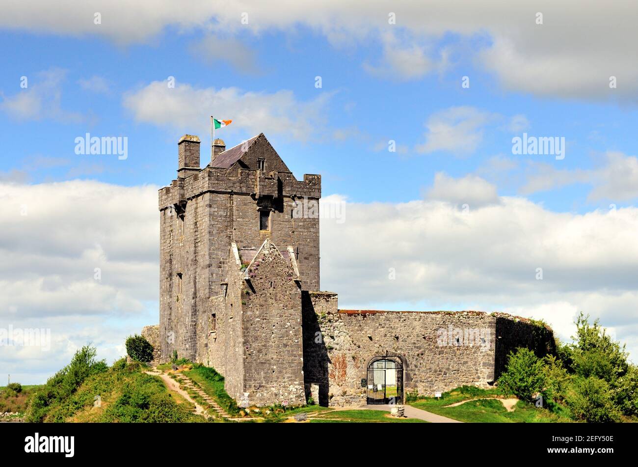 Kinvara, Contea di Galway, Irlanda. Dunguaire Castle, costruito nel 16 ° secolo a si trova sul bordo meridionale della baia di Galway. Foto Stock