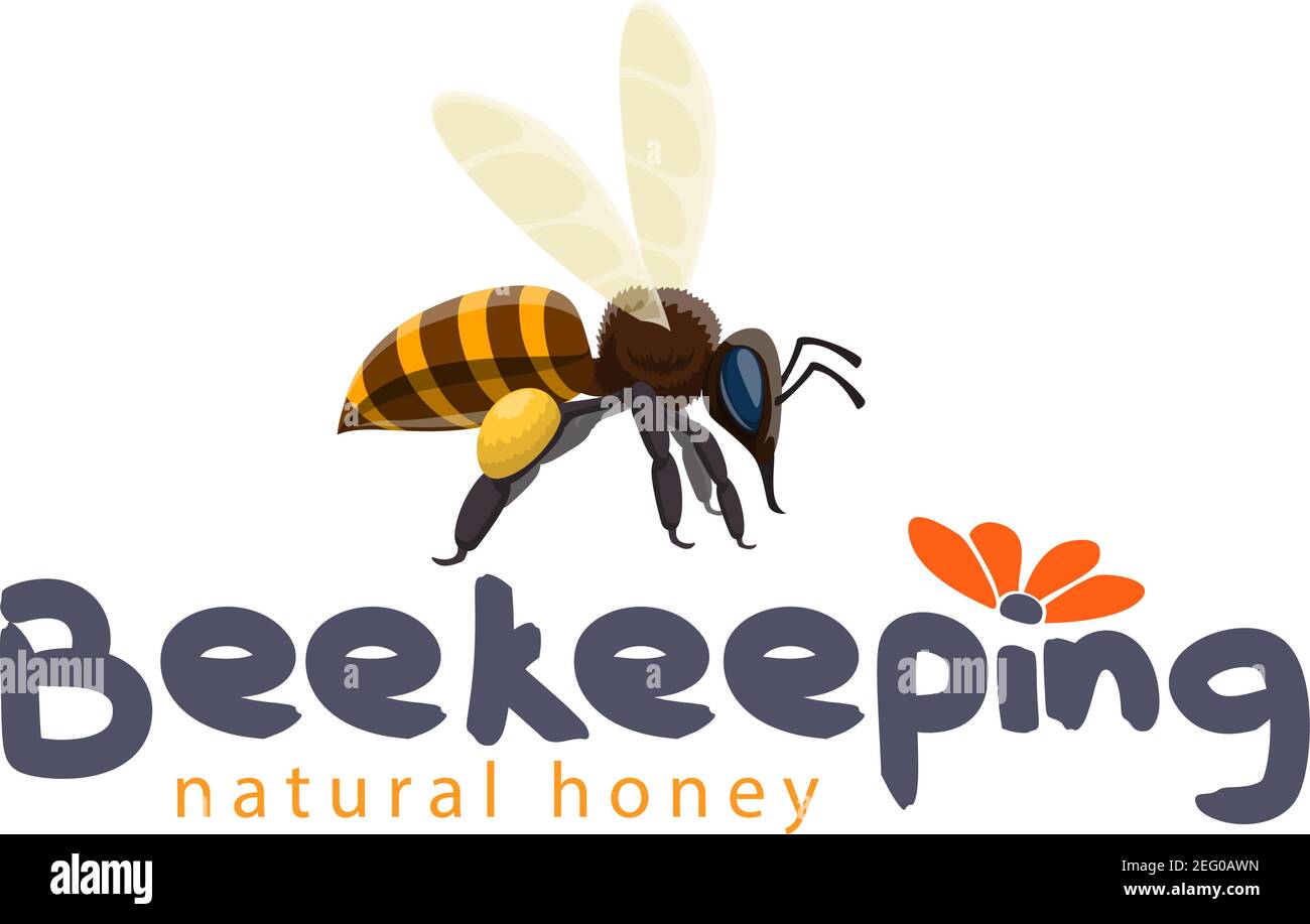 Prodotto di apicoltura miele disegno icona per etichetta miele di ape e fiore. Vettore piatto miele ape fiore impollinante per barattolo o apiario e apicoltura ind Illustrazione Vettoriale