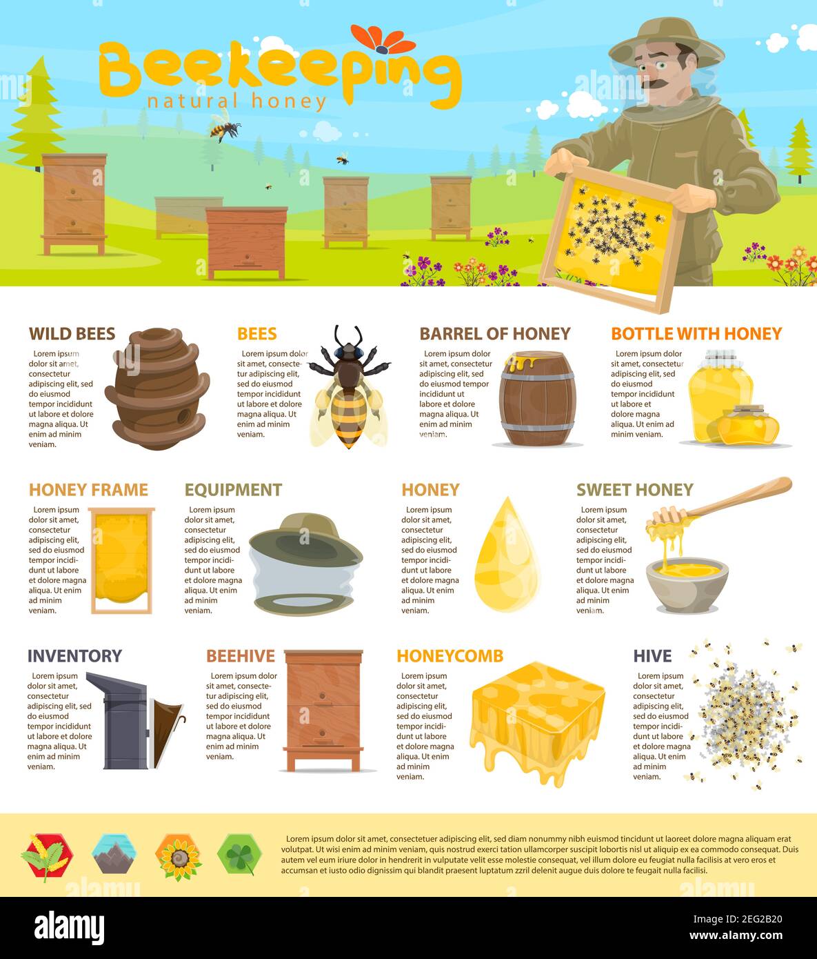 Apicoltura e produzione di miele o modello di poster di infografica  apiaria. Disegno vettoriale di diagrammi e icone per api e nido d'ape,  statistiche su beehi Immagine e Vettoriale - Alamy