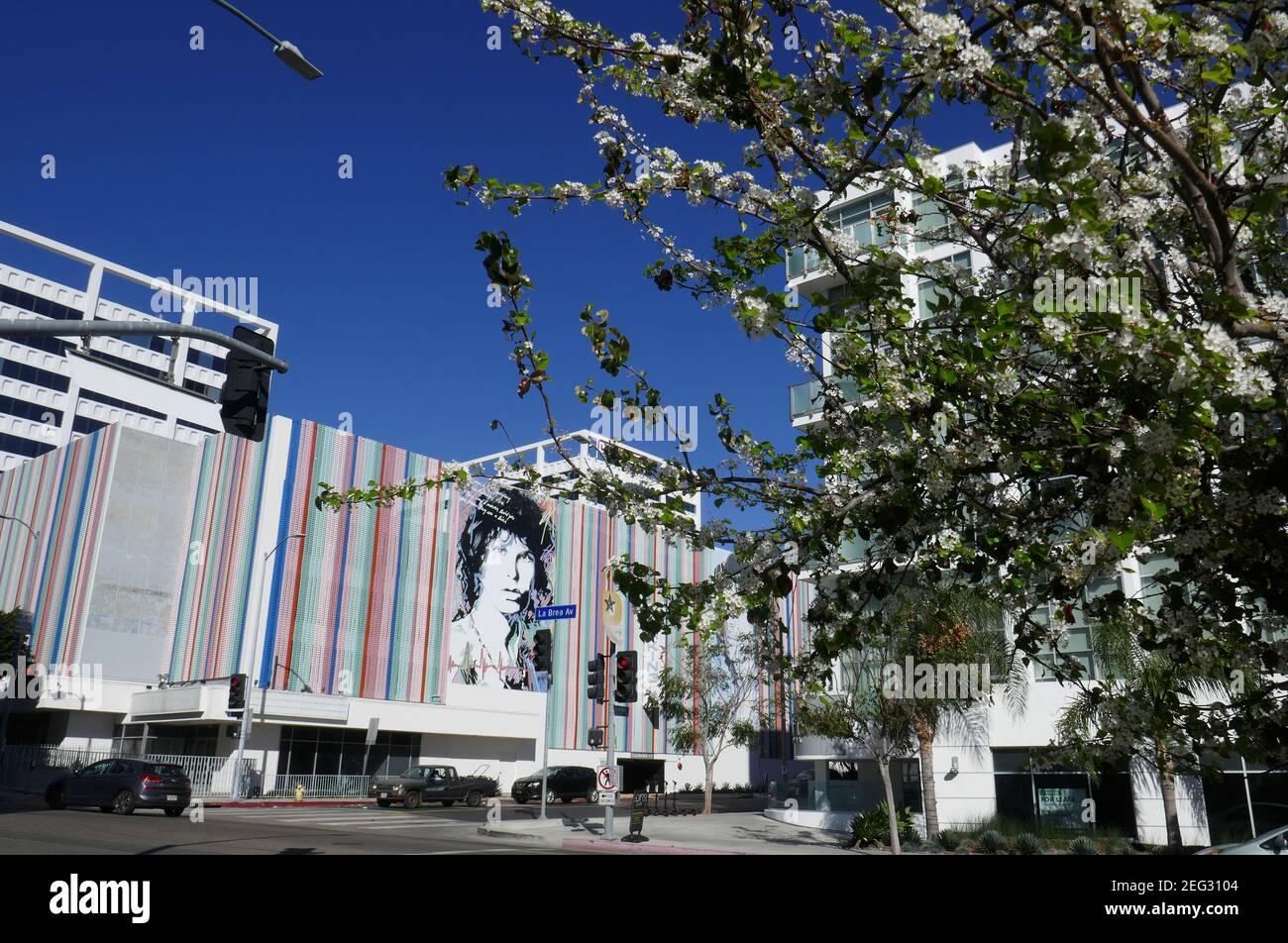 Hollywood, California, USA 17 febbraio 2021 UNA visione generale di Jim Morrison della Doors Mural Street Art il 17 febbraio 2021 a Hollywood, California, USA. Foto di Barry King/Alamy Stock foto Foto Stock