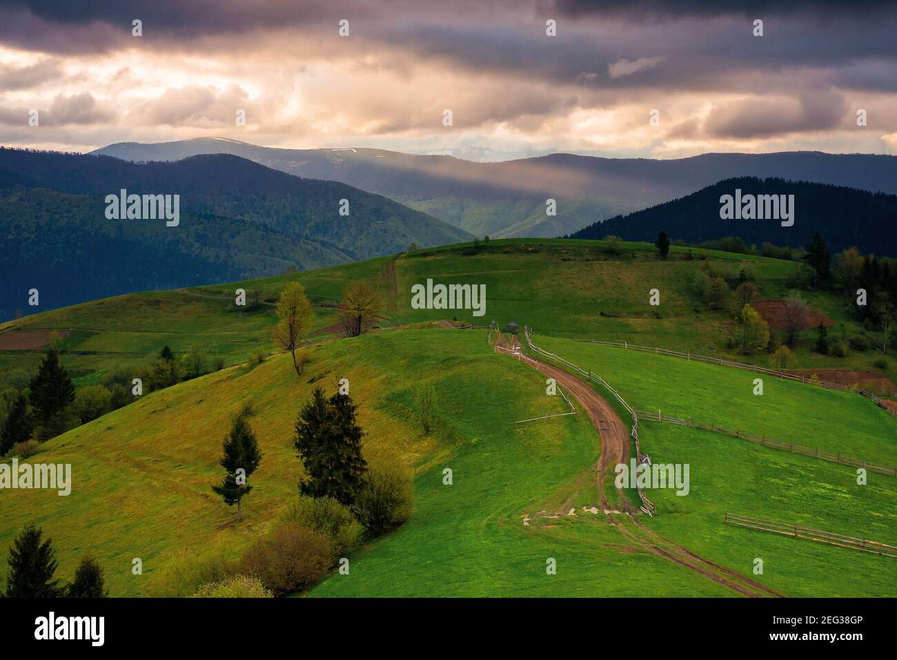 paesaggio montano al tramonto. cielo spettacolare sopra la valle lontana. verdi campi e alberi sulla collina. splendido paesaggio naturale di carpa Foto Stock