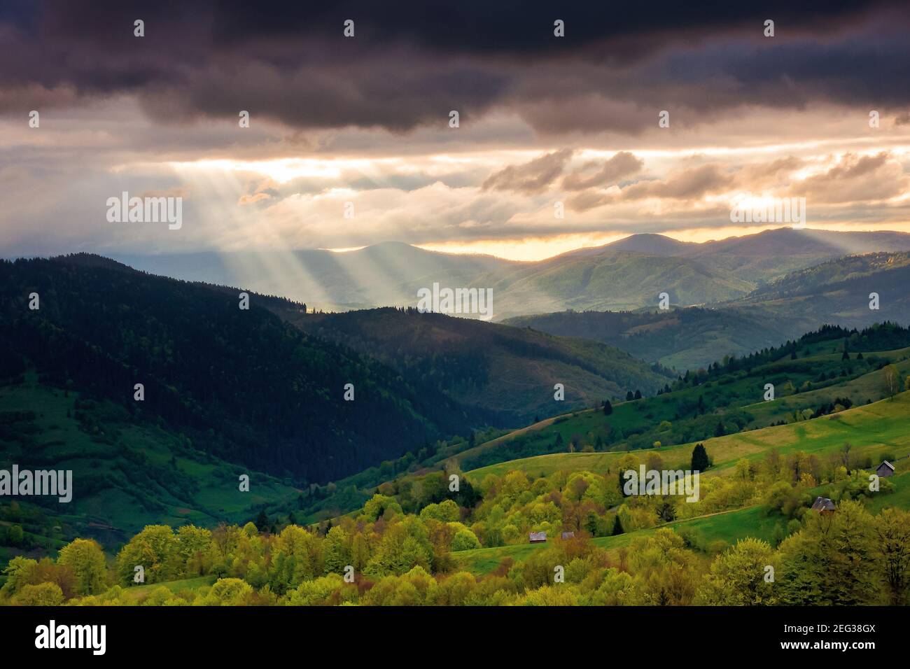 paesaggio montano al tramonto. cielo spettacolare sopra la valle lontana. verdi campi e alberi sulla collina. splendido paesaggio naturale di carpa Foto Stock