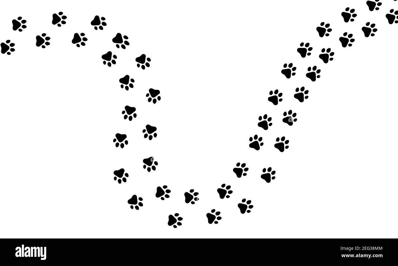 Paw sentiero di animale gatto o cane stampa percorso. Stampa zampa walking fauna selvatica contrassegno isolato bianco. Cartoni animati vettoriali impresenza di sporcizia illustrazione trai Illustrazione Vettoriale