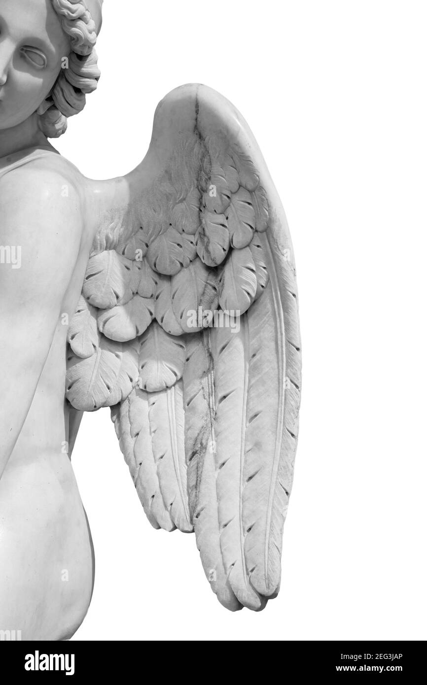 Angel ali isolate su sfondo bianco con copyspace. Statua di cherubino da vicino Foto Stock Angel ali isolate su sfondo bianco con copyspace. Statua di cherubino da vicino Foto Stock