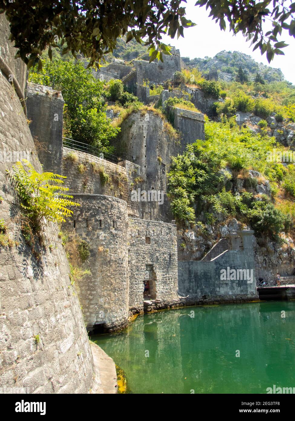 Kator Котор Kotor è una città costiera del Montenegro. Golfo di Cattaro. Foto Phil Wilkinson / Alamy Foto Stock