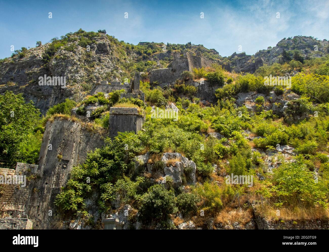 Kator Котор Kotor è una città costiera del Montenegro. Golfo di Cattaro. Foto Phil Wilkinson / Alamy Foto Stock