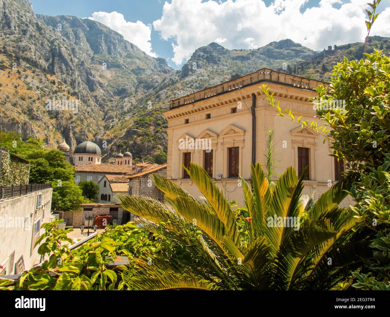Kator Котор Kotor è una città costiera del Montenegro. Golfo di Cattaro. Foto Phil Wilkinson / Alamy Foto Stock