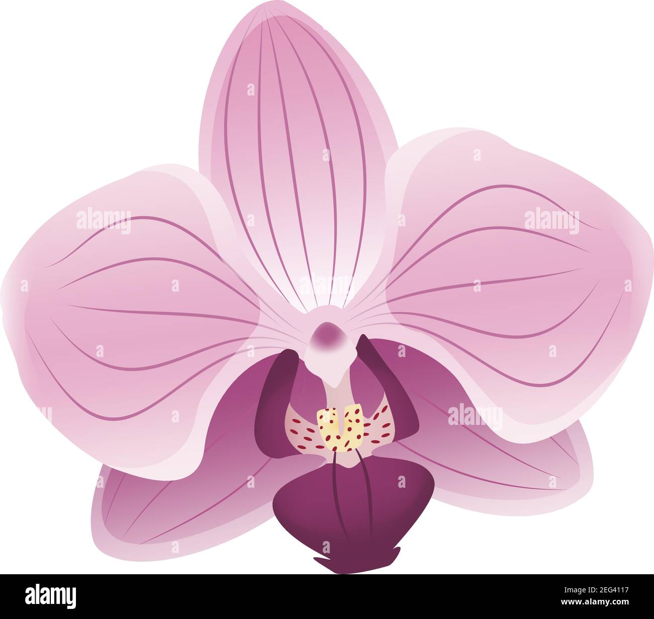 Icona carino fiore orchidea rosa Illustrazione Vettoriale