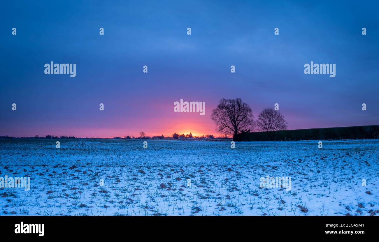Spettacolare alba invernale su terreni agricoli pianeggianti Foto Stock