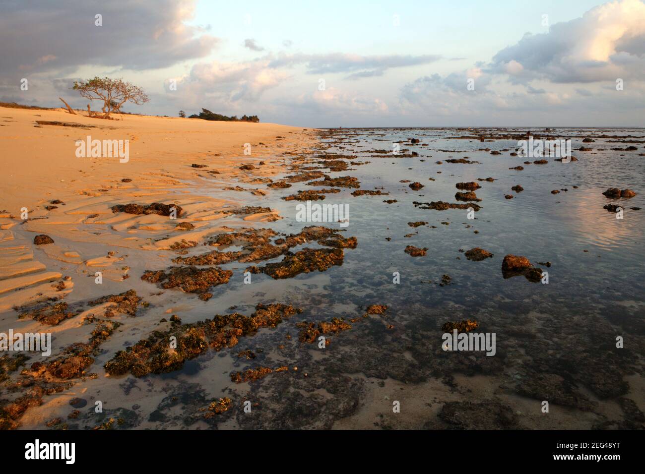 La fascia intermarea rocciosa vicino alla spiaggia sabbiosa durante la bassa marea prima del tramonto a Marosi, Isola di Sumba, Indonesia. Secondo gli scienziati, fino alla metà delle spiagge sabbiose del mondo rischiano di scomparire entro la fine di questo secolo. Le spiagge sabbiose sono normalmente spostate o erose, causate da fenomeni scientifici come le maree, le correnti, le onde; ma il riscaldamento globale ha causato più rischi: Tempeste più frequenti e maree più alte. Foto Stock