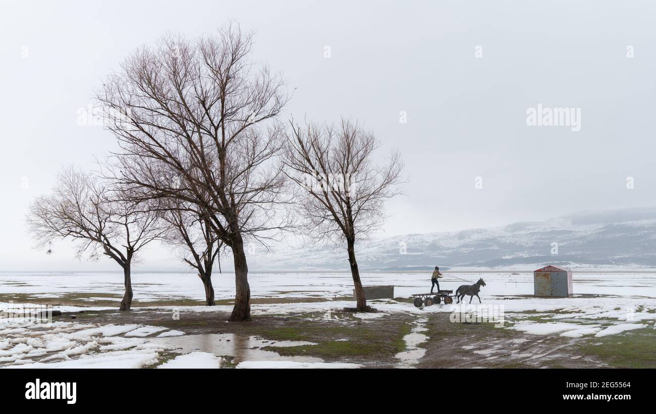 Bitlis, Turchia - Febbraio 2020: Uomo che cavalcano un carro con cavallo nel paesaggio innevato dell'Anatolia Orientale Foto Stock