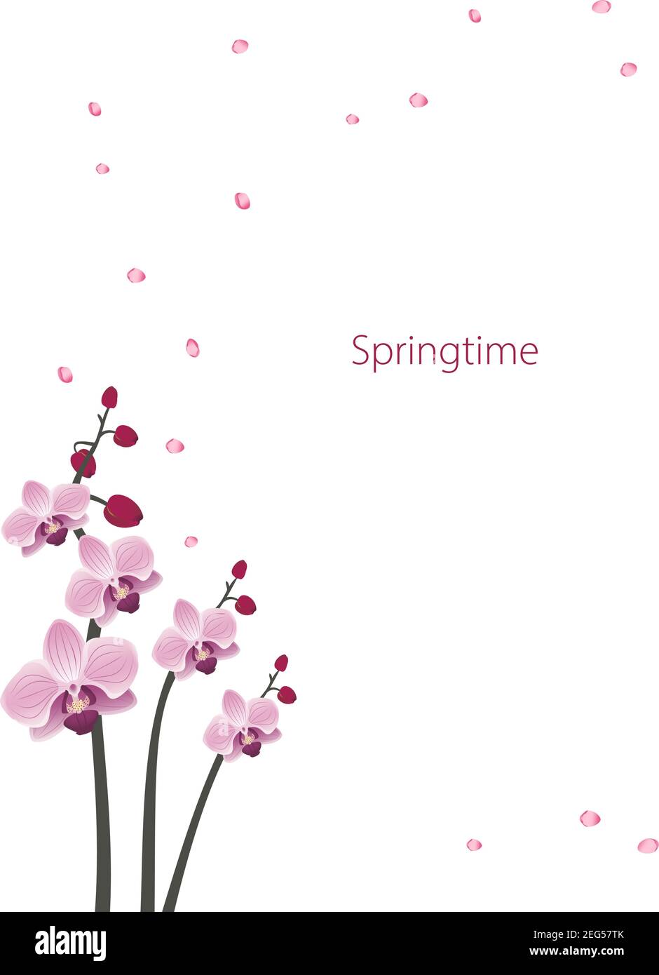 Carino insieme di icone Sakura orchidee Illustrazione Vettoriale