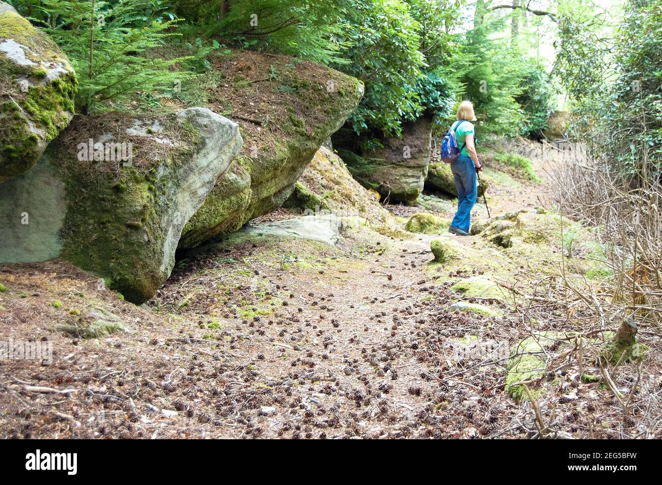 Cragside Northumberland UK femmina con lunghi capelli biondi camminare con bastone nella foresta con grandi rocce e boulder zaino blu jeans zona rocciosa Foto Stock