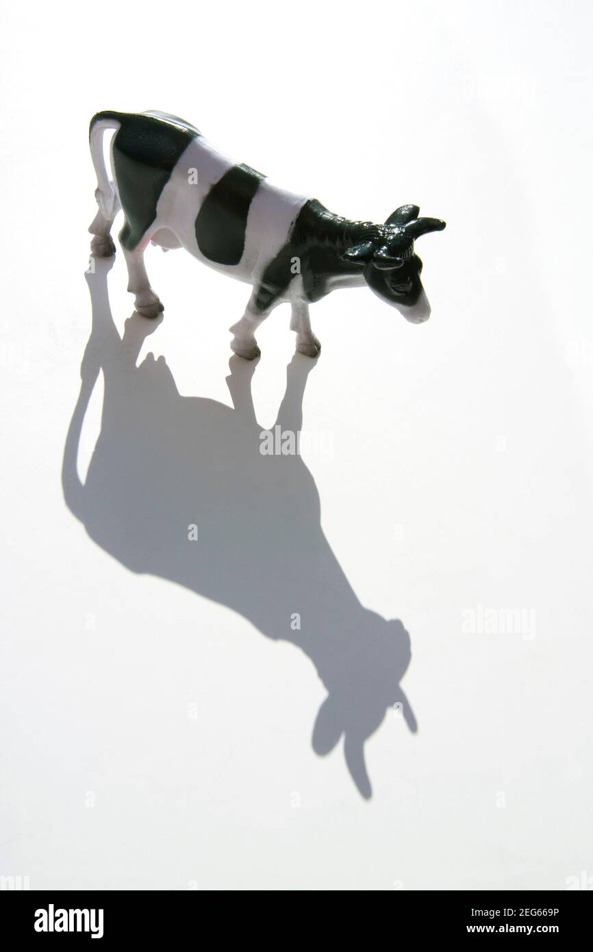 Mucca giocattolo in bianco e nero che proietta un'ombra giocosa su una superficie bianca in piena luce Foto Stock