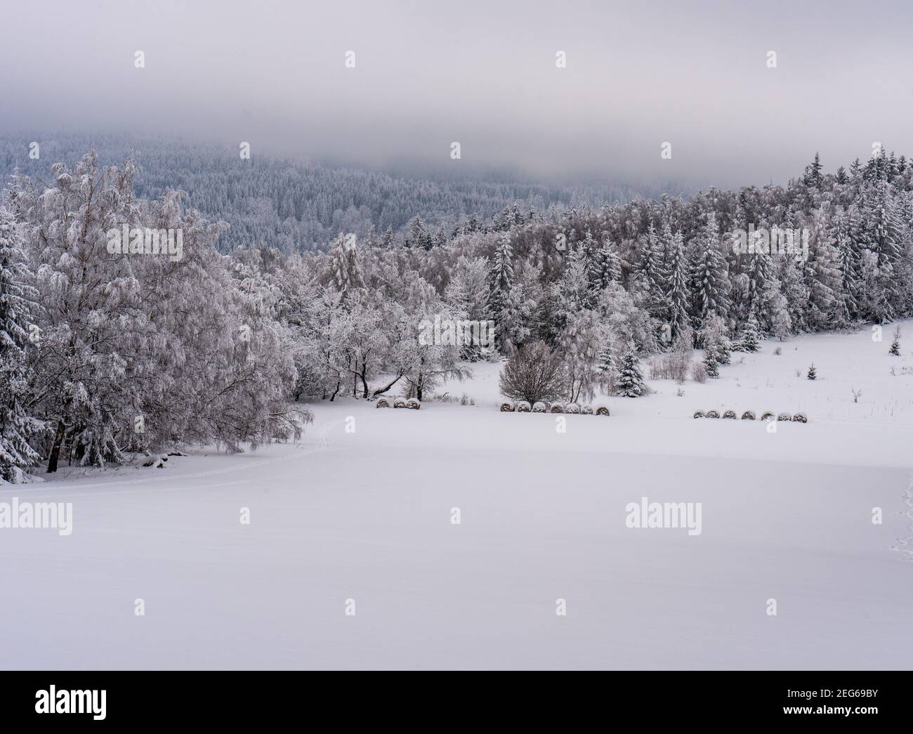 Gelido scenario invernale con prato coperto di neve, colline coperte da una foresta profonda e cielo coperto Below Boruvkova Hora collina in Rychlebske Hory montagna Foto Stock