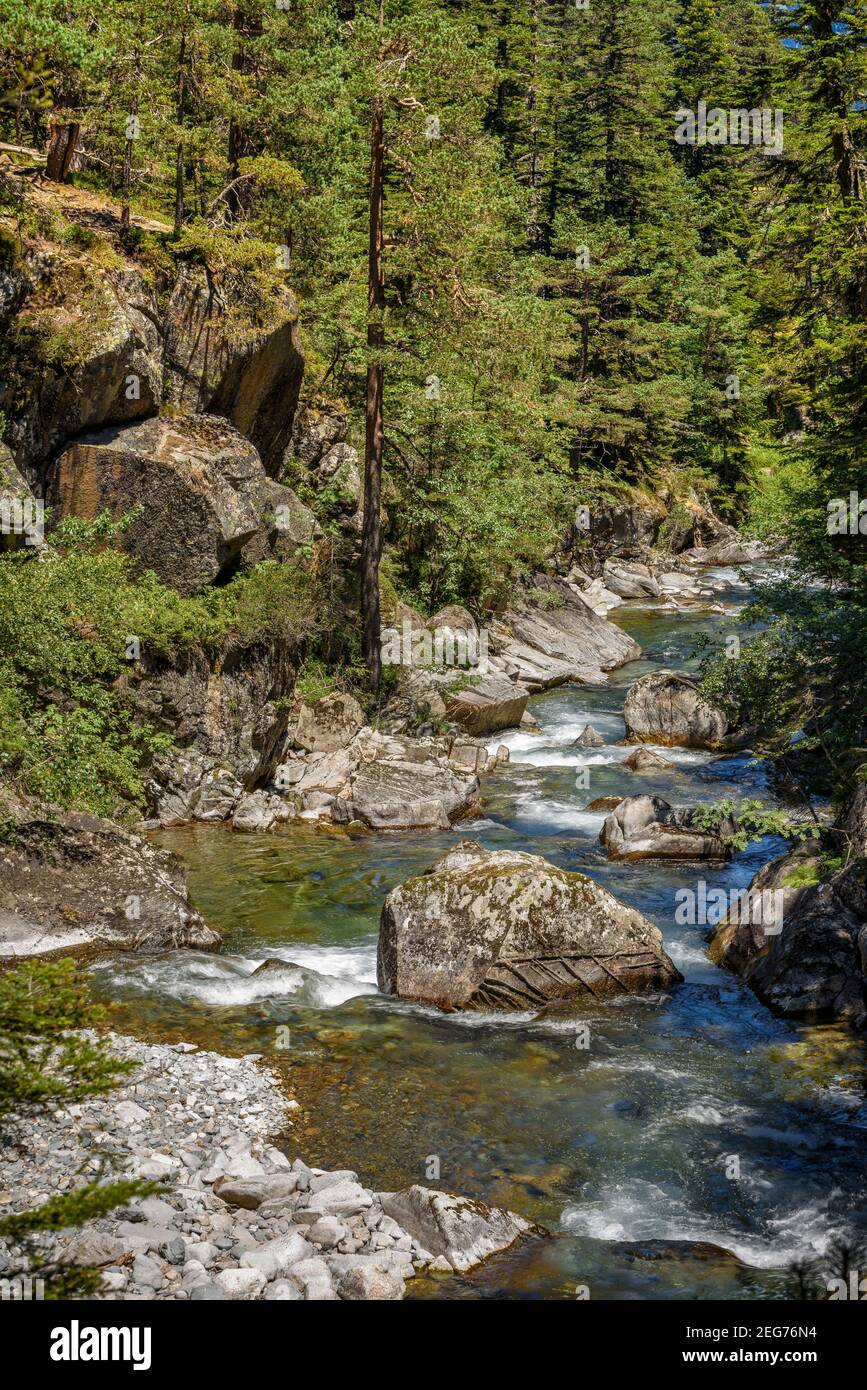 Pont d'Espagne in estate (Cauterets, Parco Nazionale dei Pirenei, Francia) ESP: Pont d'Espagne en verano (Cauterets, Parque Nacional de los Pirineos) Foto Stock