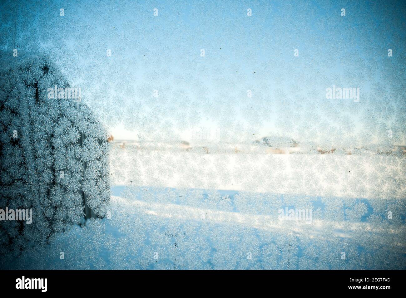 Eisblumen, Frostworks sulla finestra Foto Stock