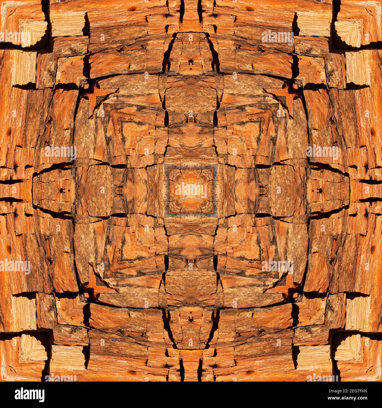 Caleidoscopio di legno pietrificato Foto Stock