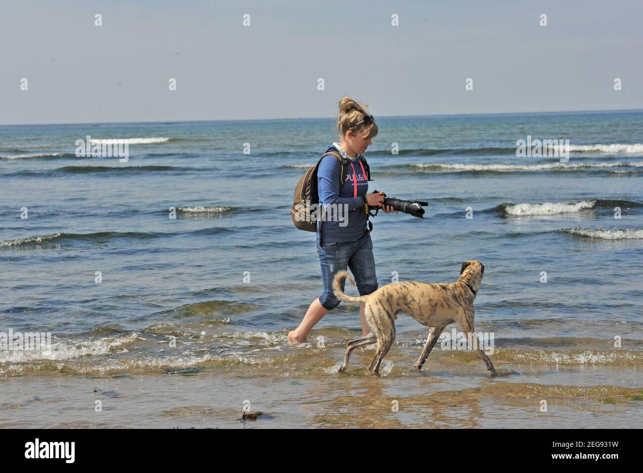 ragazza e il suo cane in vacanza al mare, scattando foto Foto Stock