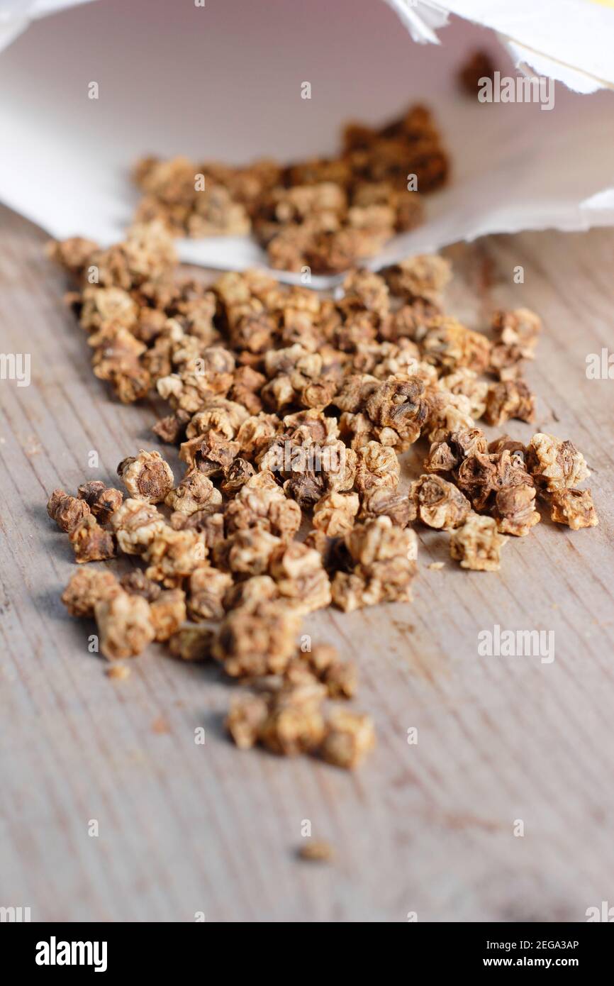 Beta vulgaris. I semi di barbabietola fuoriuscite da un pacchetto aperto - Detroit 2 cremisi globo. Foto Stock