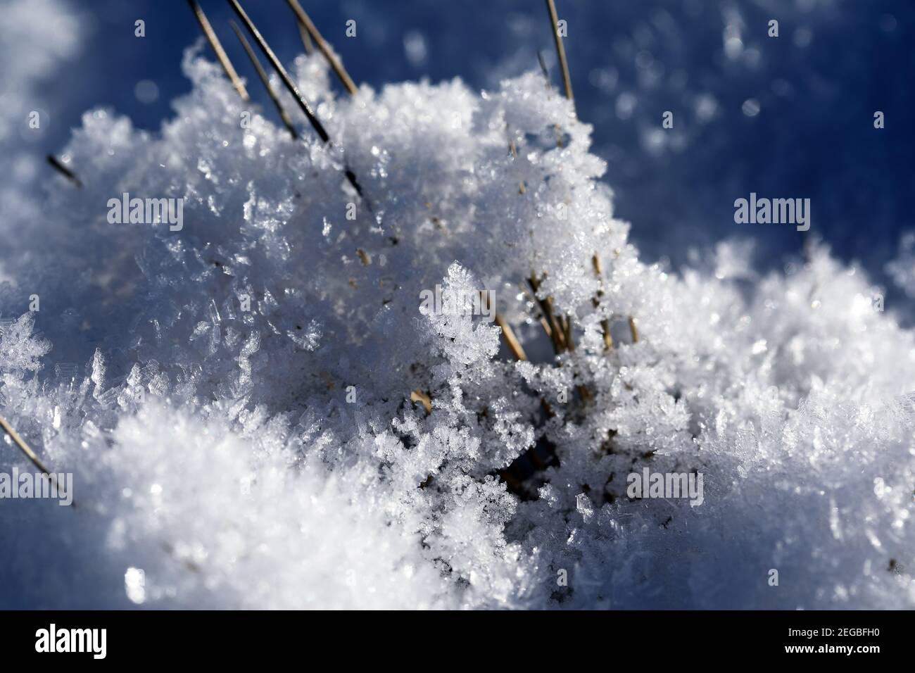 Cristalli di ghiaccio sul terreno in una giornata fredda e gelida In inverno in Scozia Foto Stock