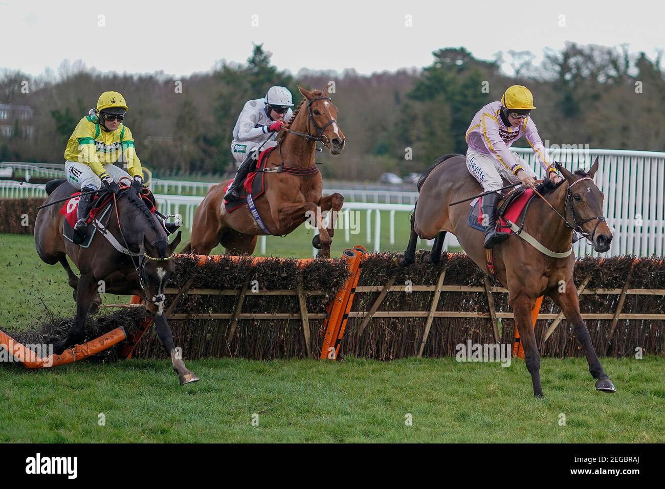 Tom Bellamy riding Red Rookie (al centro) libera l'ultimo a vincere l'hurtle 'National Hunt' Novices' di Telegraph Hill all'ippodromo di Sandown Park, Esher. Data immagine: Giovedì 18 febbraio 2021. Foto Stock