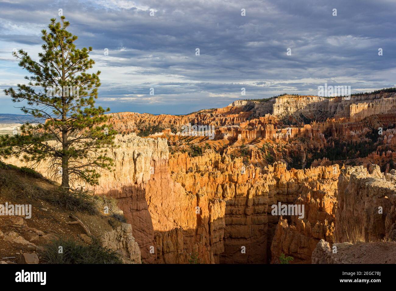 Bryce Canyon National Park, formazioni rocciose arancioni di Hoodoos. Utah, Stati Uniti Foto Stock