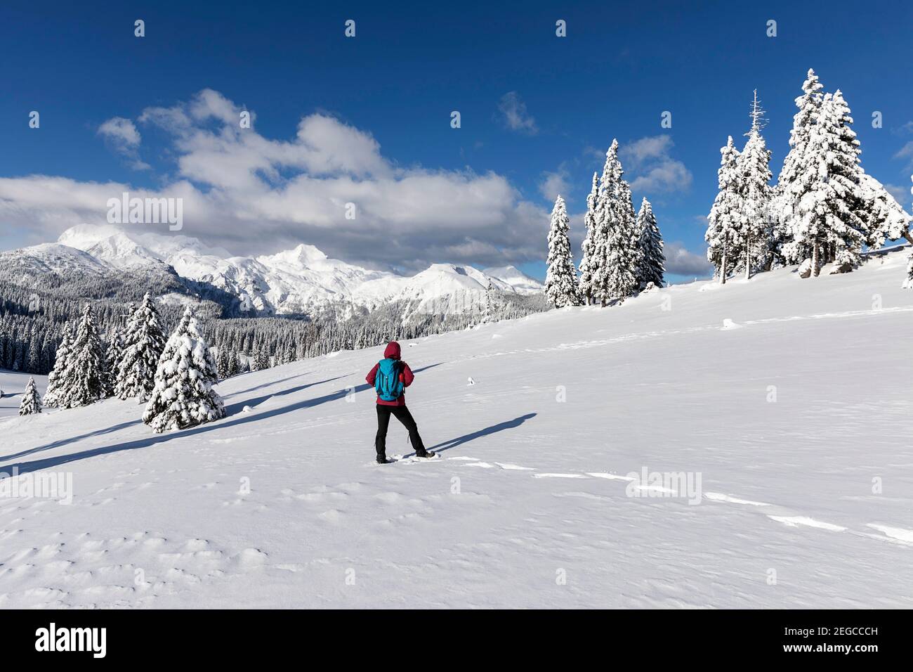 Donna che cammina sulla montagna innevata in una giornata di sole, Velika planina, Slovenia Foto Stock