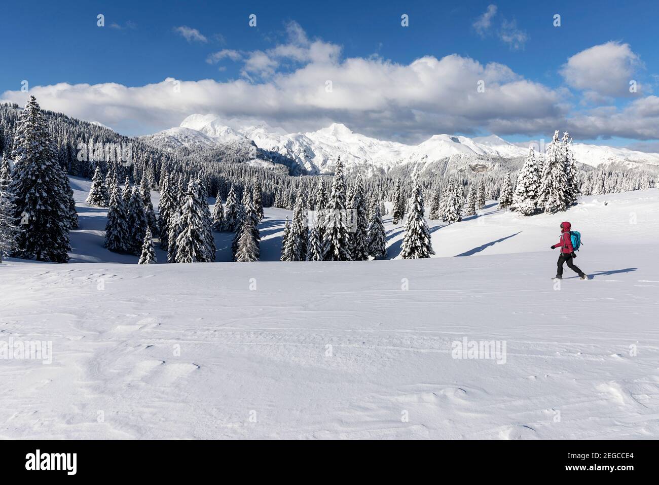 Donna che cammina sulla montagna innevata in una giornata di sole, Velika planina, Slovenia Foto Stock