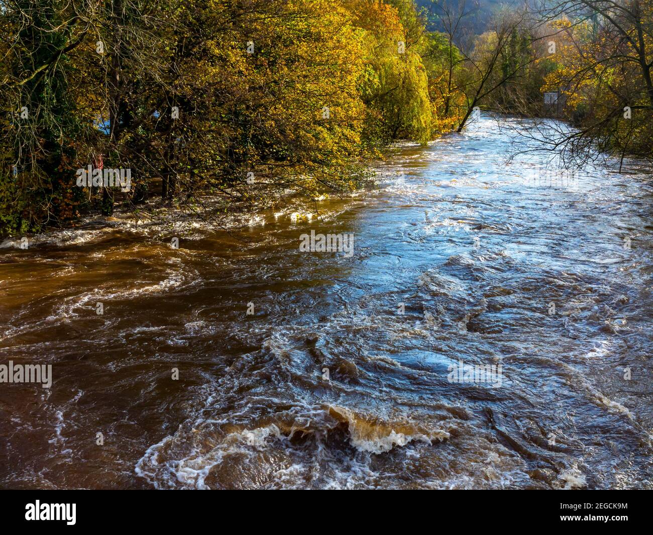 Gravi inondazioni causate dal fiume Derwent che esplose le sue rive Nel distretto di Matlock Derbyshire Peak Inghilterra Regno Unito nel novembre 2019 Foto Stock