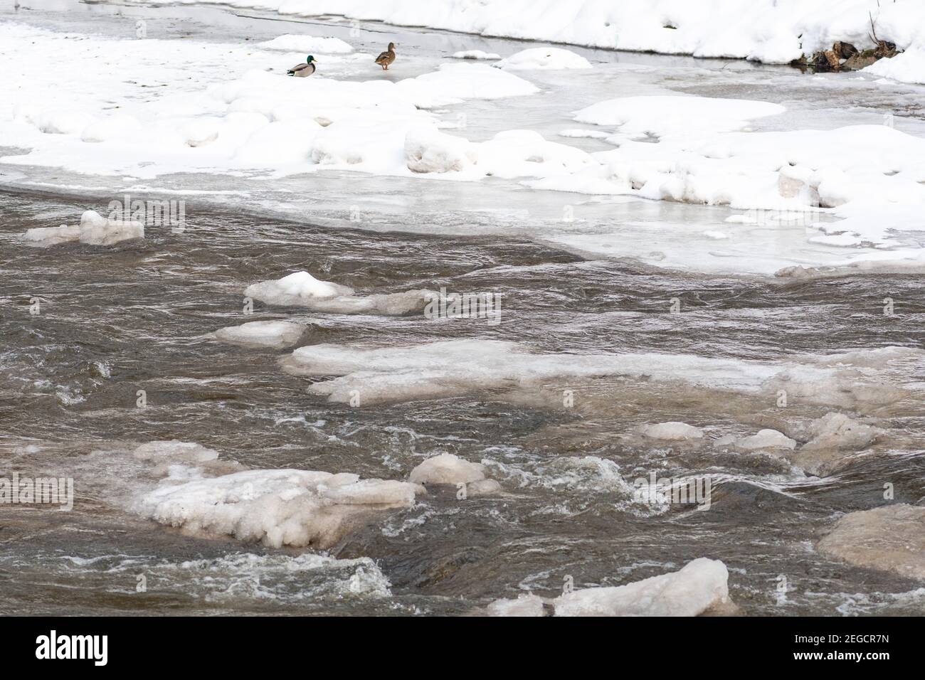 Fiume ghiacciato in inverno, neve e ghiaccio che si scioglie, ruscello fluente, sfondo della natura Foto Stock