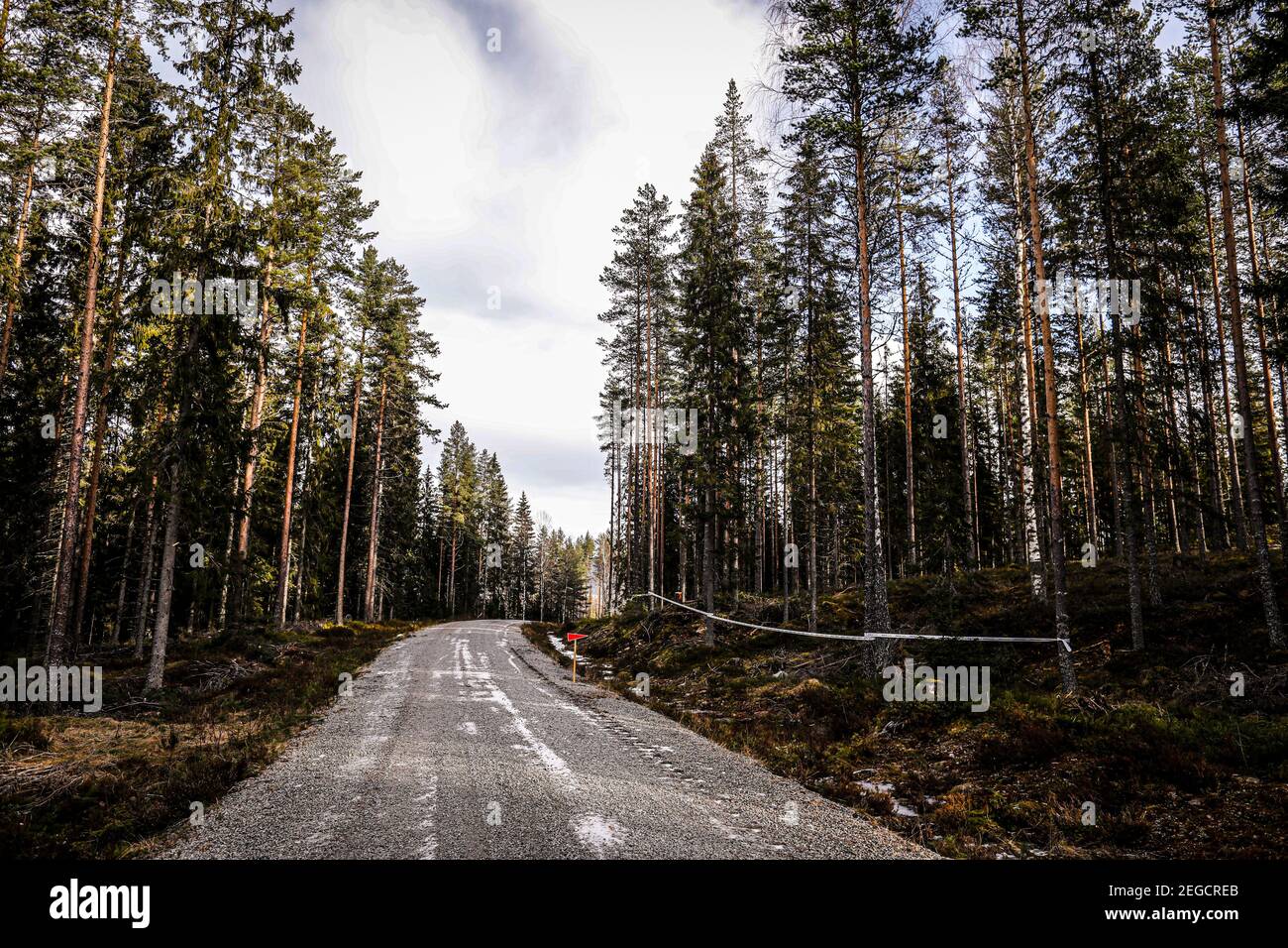 Pista durante il 2020 Rally Svezia, 2° tappa della Championaship 2020 FIA WRC dal 13 al 16 febbraio 2020 a Torsby, Varmland in Svezia - Foto Francois Flamand / DPPI Foto Stock