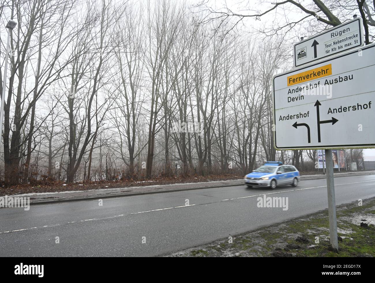 Stralsund, Germania. 18 Feb 2021. Vista di una foresta nella zona urbana di Stralsund. L'area forestale di un ettaro nei pressi della costa deve essere bonificato per uno sviluppo con appartamenti, un centro di assistenza e un supermercato con parcheggio. Il Ministro dell'ambiente Backhaus sostiene il progetto della città e di un investitore. L'ufficio competente per la silvicoltura aveva respinto la compensazione. Con 24 per cento di foresta, MV è uno dei meno Stati federali boschivi. Negli ultimi anni lo stato non è più riuscito a raggiungere i propri obiettivi di rimboschimento. Credit: Stefan Sauer/dpa/Alamy Live News Foto Stock