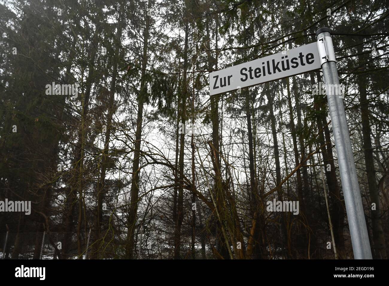 Stralsund, Germania. 18 Feb 2021. Vista di una foresta nella zona urbana di Stralsund. L'area forestale di un ettaro nei pressi della costa deve essere bonificato per uno sviluppo con appartamenti, un centro di assistenza e un supermercato con parcheggio. Il Ministro dell'ambiente Backhaus sostiene il progetto della città e di un investitore. L'ufficio competente per la silvicoltura aveva respinto la compensazione. Con 24 per cento di foresta, MV è uno dei meno Stati federali boschivi. Negli ultimi anni lo stato non è più riuscito a raggiungere i propri obiettivi di rimboschimento. Credit: Stefan Sauer/dpa/Alamy Live News Foto Stock