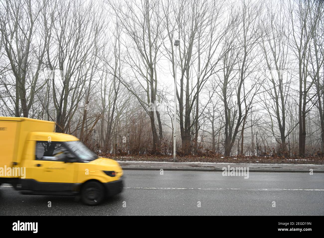 Stralsund, Germania. 18 Feb 2021. Vista di una foresta nella zona urbana di Stralsund. L'area forestale di un ettaro nei pressi della costa deve essere bonificato per uno sviluppo con appartamenti, un centro di assistenza e un supermercato con parcheggio. Il Ministro dell'ambiente Backhaus sostiene il progetto della città e di un investitore. L'ufficio competente per la silvicoltura aveva respinto la compensazione. Con 24 per cento di foresta, MV è uno dei meno Stati federali boschivi. Negli ultimi anni lo stato non è più riuscito a raggiungere i propri obiettivi di rimboschimento. Credit: Stefan Sauer/dpa/Alamy Live News Foto Stock