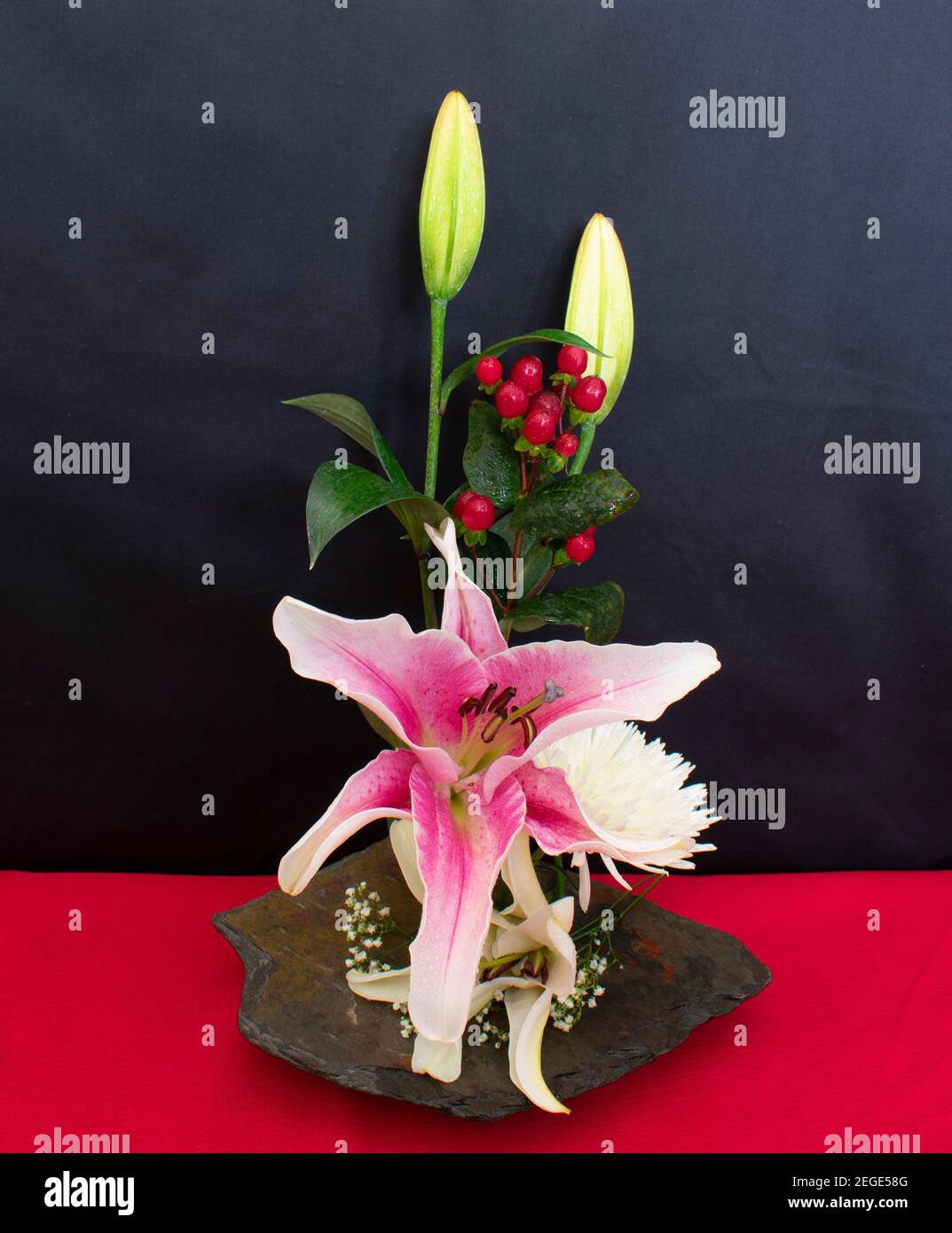 Una varietà di fiori, boccioli e foglie in un colorato allestimento interno con offuscamento selettivo -09 Foto Stock