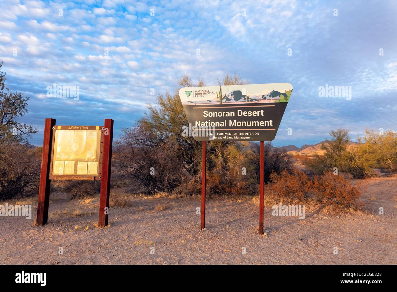 Paesaggio panoramico nel Sonoran Desert National Monument, Arizona, USA Foto Stock