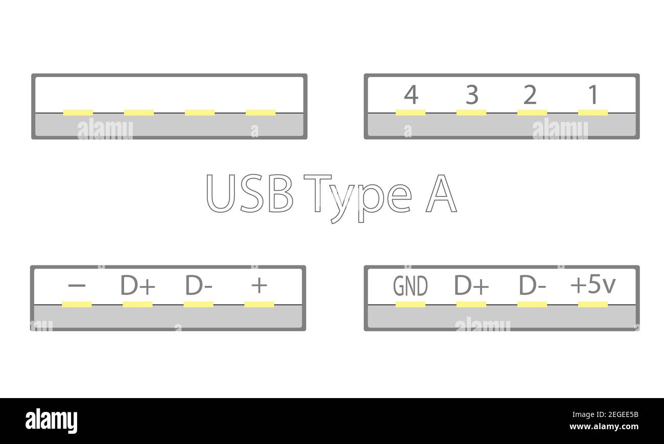 Un set di connettori USB con pin dorati. Firmato, con designazioni di contatto. Visualizza nella sezione del piano. Illustrazione vettoriale piatta Illustrazione Vettoriale