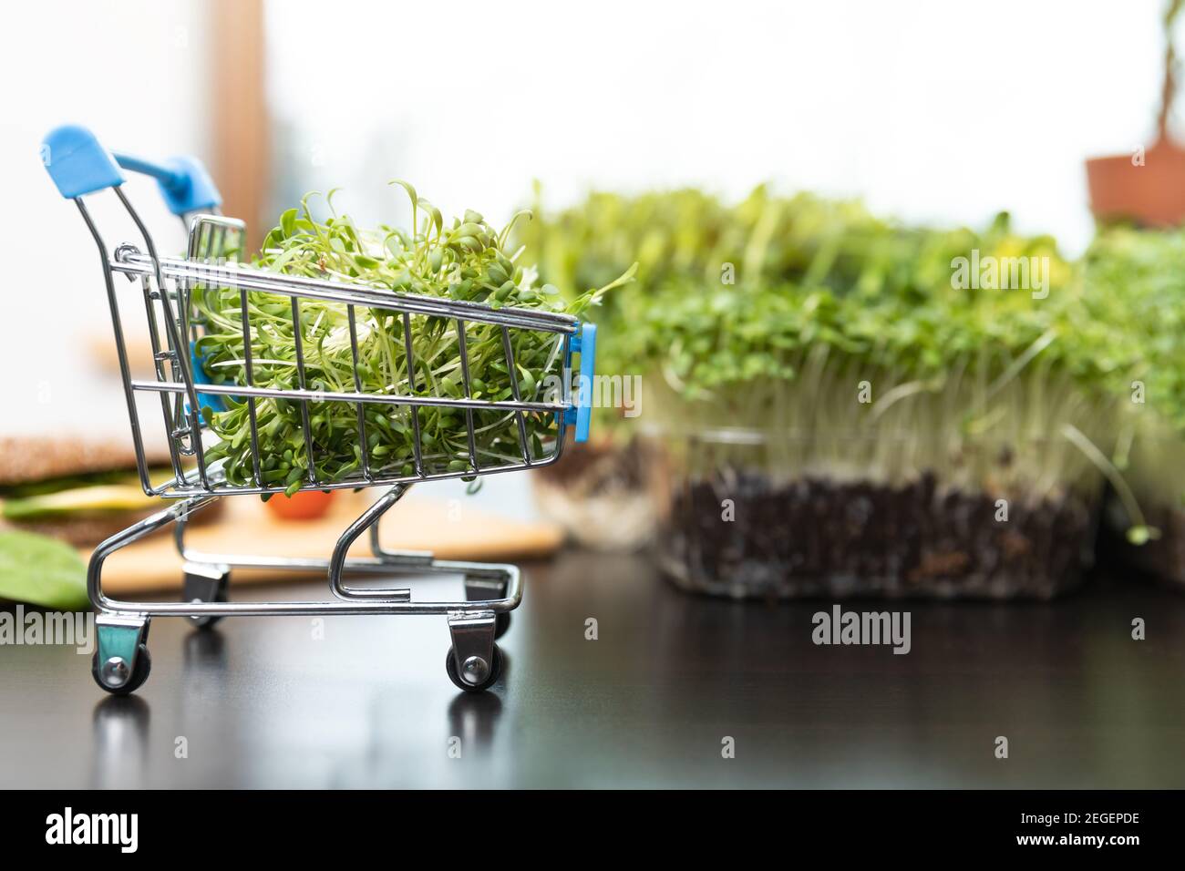 Concetto di ordinazione online di alimenti sani. Micrgreens e carrello pieno di supercibo di germogli tagliato. Foto Stock