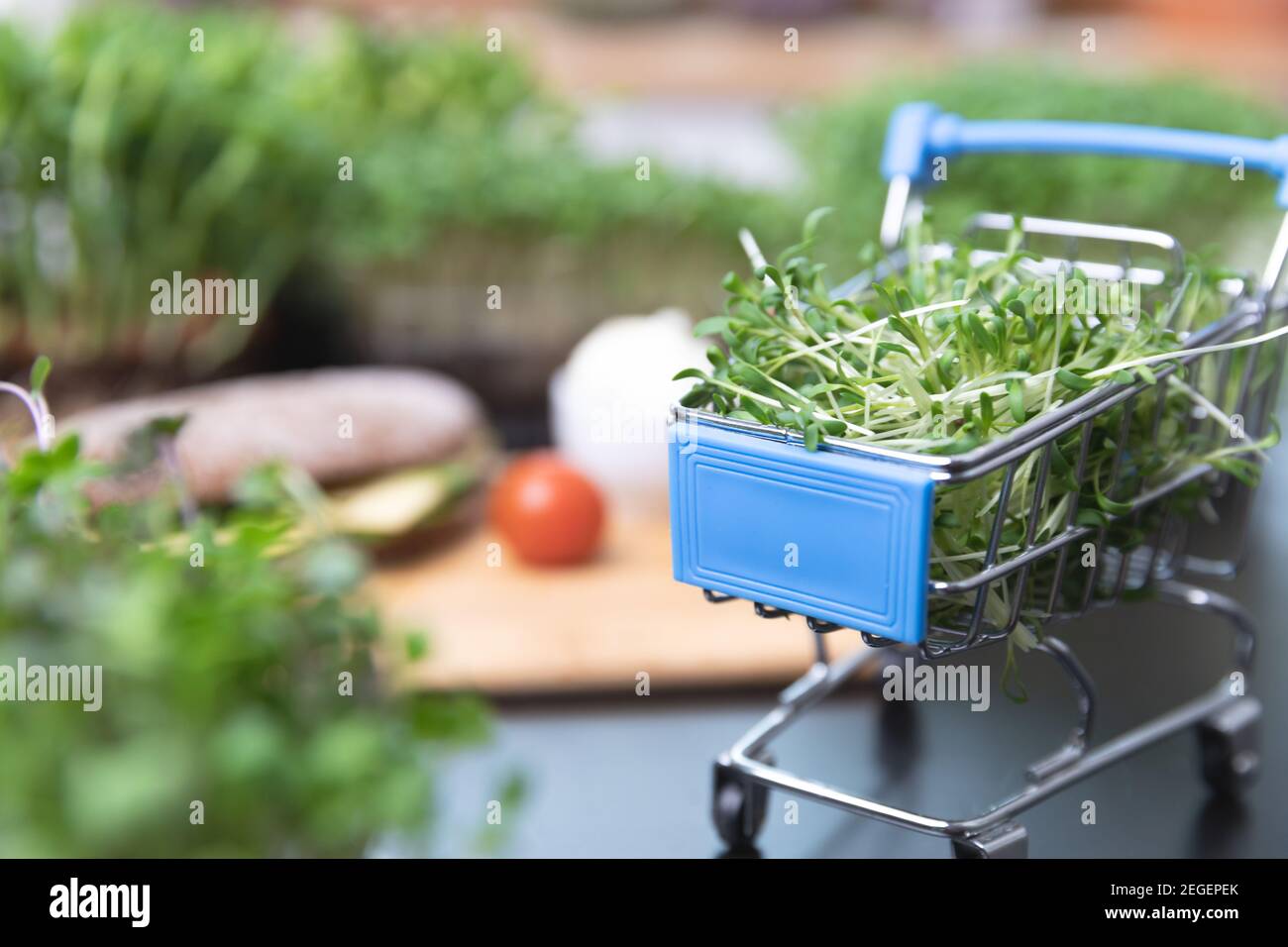 Concetto di ordinazione online di alimenti sani. Micrgreens, pane di grano e carrello di shopping pieno di supercibo di germogli tagliato. Foto Stock