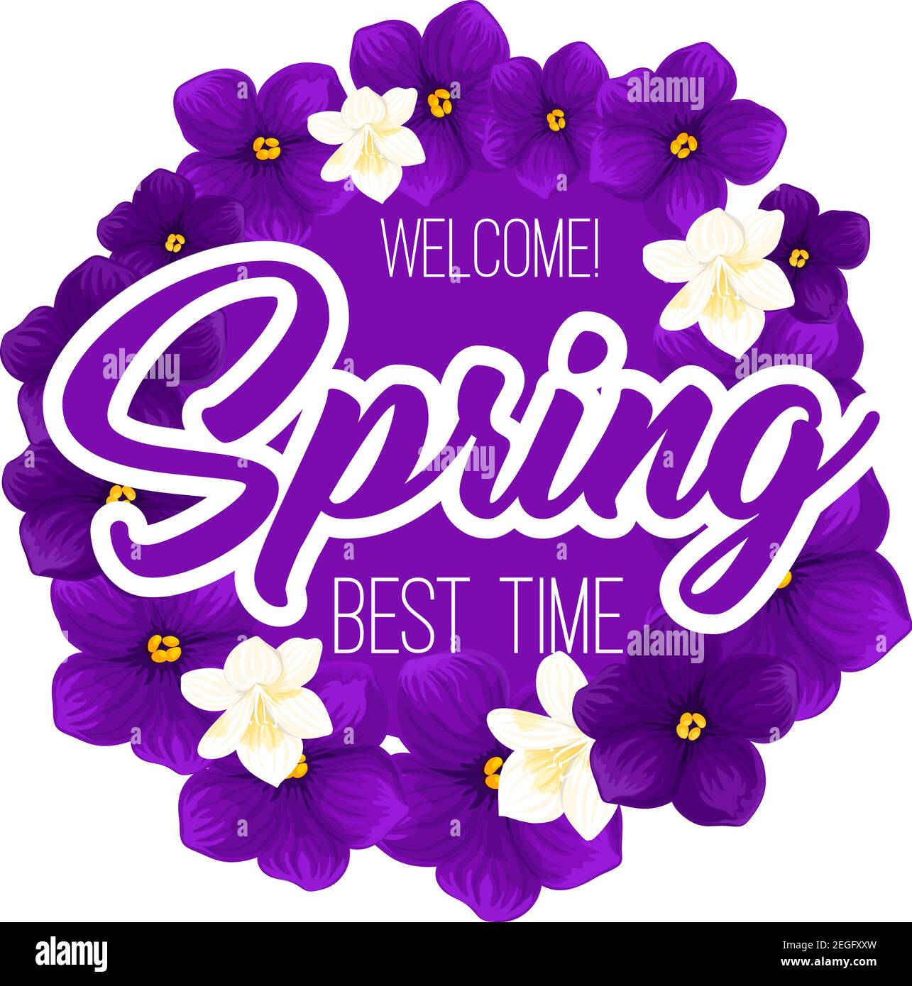 Benvenuto Primavera Crocuses fiori bouquet icona per vacanze primavera e biglietto di auguri di stagione floreale design. Vettore fiorisce fiori di blu e bianco Illustrazione Vettoriale