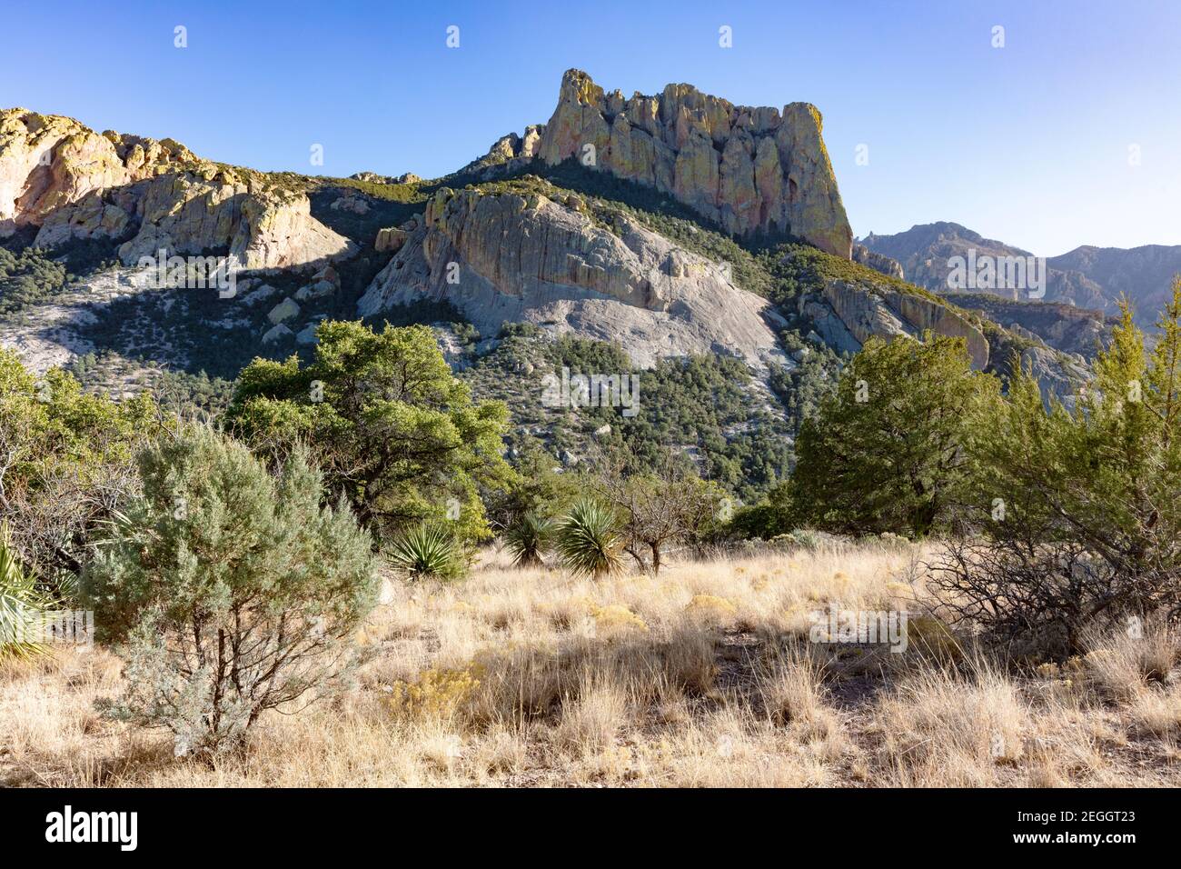 Cave Creek Canyon, Chiricahua Mountains, viste dal Silver Peak Trail, Portal, Arizona sud-orientale Foto Stock