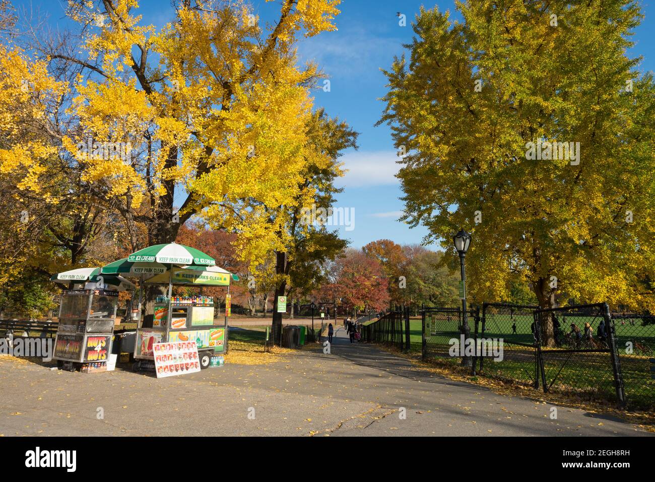 Lo stand Hotdog è aperto sotto il colore autunnale alberi Gingko accanto al Prato delle pecore nel Central Park a New York City NY USA. Foto Stock