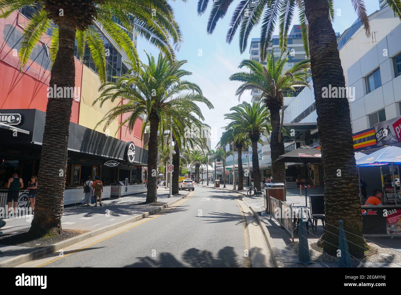 The Avenue Palm Trees Surfers Paradise Gold Coast Queensland Australia Foto Stock immagini Stock immagini Stock Foto Stock