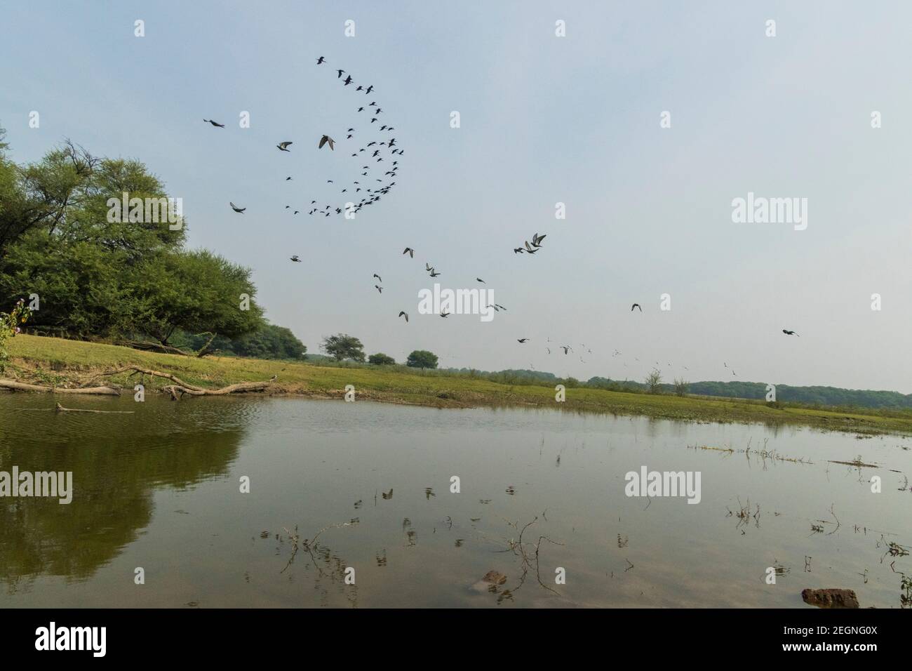 Lago Thol, Ahmedabad Foto Stock