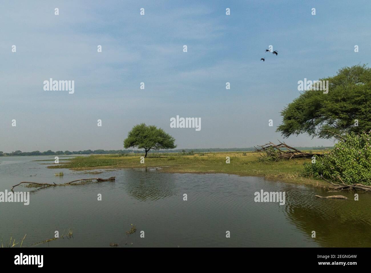 Lago Thol, Ahmedabad Foto Stock