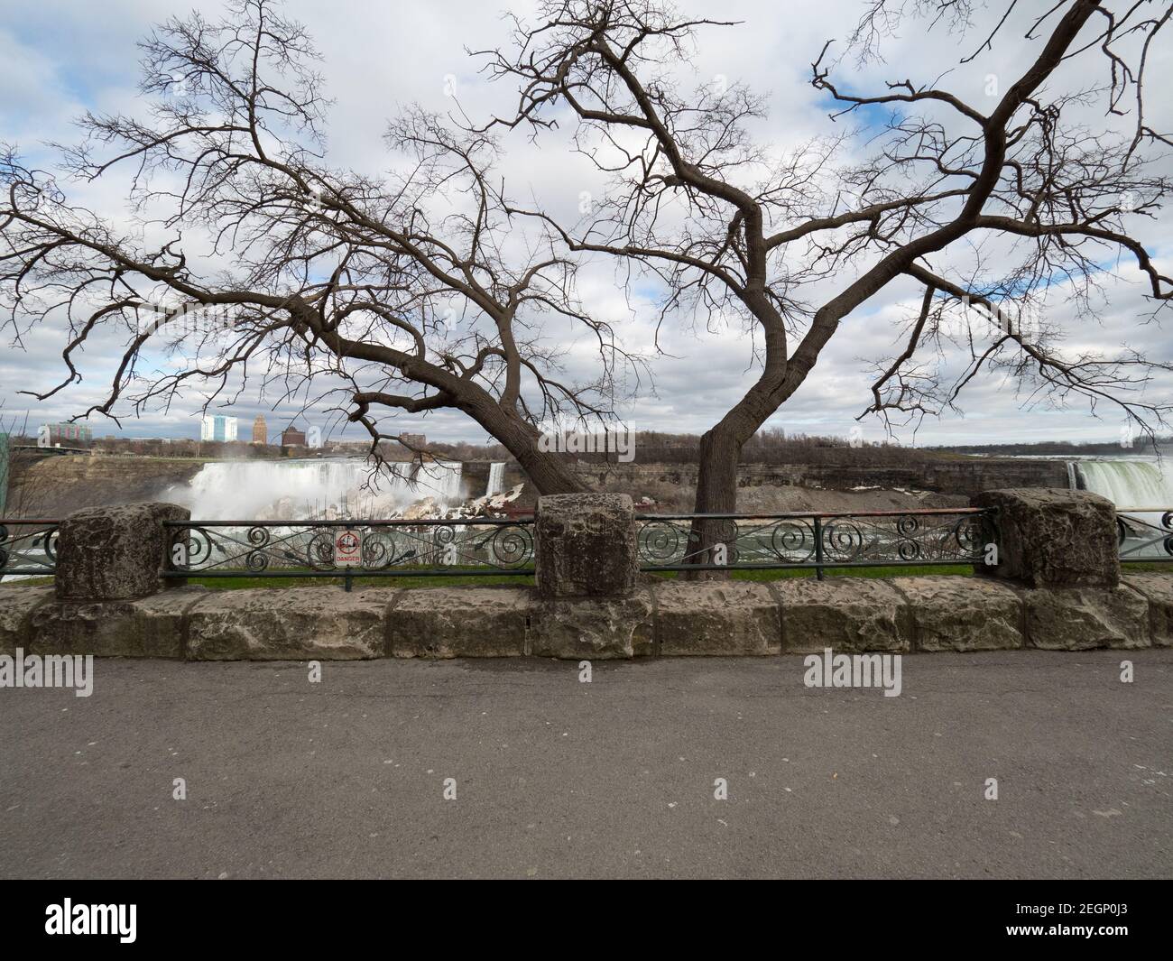 Cascate del Niagara vista dal lato dell'ontario, albero senza foglie in primo piano Foto Stock